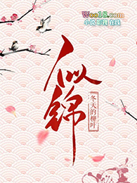 似锦大结局